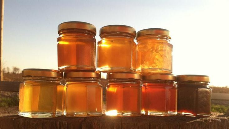 From Hives to Tables: The Journey of Pure Honey