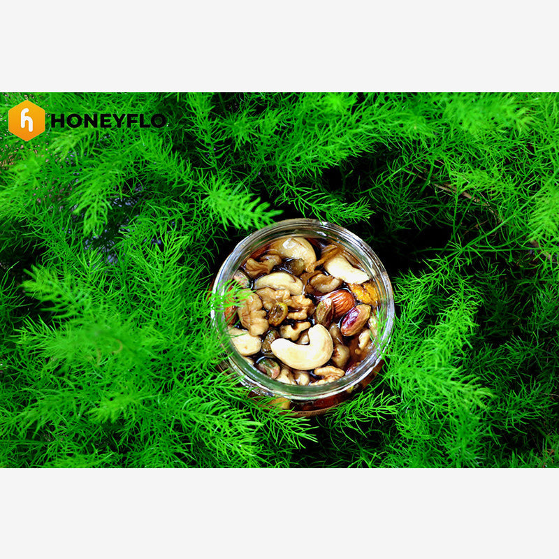 Honey & Nuts – A Crunchy-Sweet Blend of Wellness & Indulgence